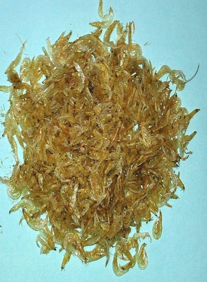 Bague Sree Devaa Very Small Size Dry Shrimp Prawns Aquarium Fish Food For All Life Stages (100 G), 1 Count - Image 2